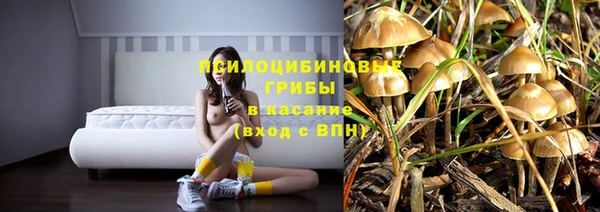 тгк Баксан