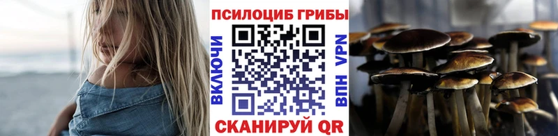 Галлюциногенные грибы Cubensis  Гатчина 